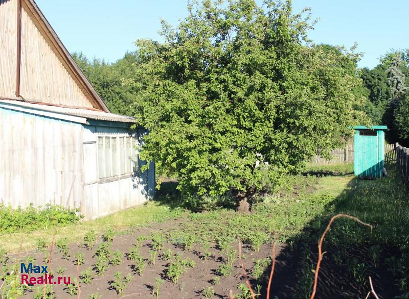 Земетчино село Усердино, улица Городок дом купить