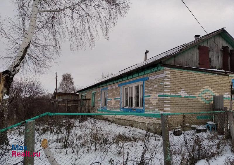 Петровск Пензенская область, село Сорокино дом купить
