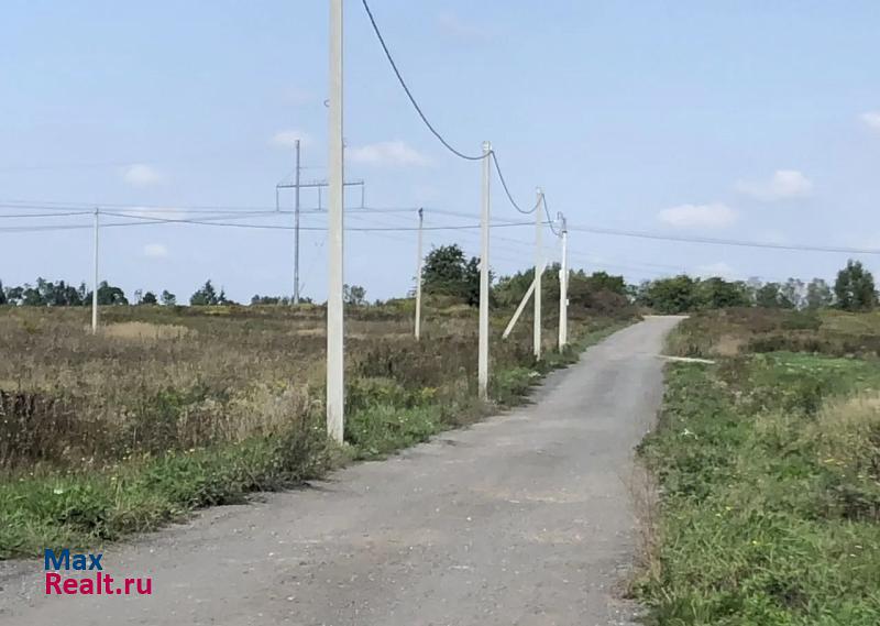 Калининград Зеленоградский городской округ, посёлок Холмогоровка, Изумрудная улица дом