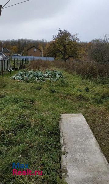 Тула деревня Старое Басово, муниципальное образование Тула дом