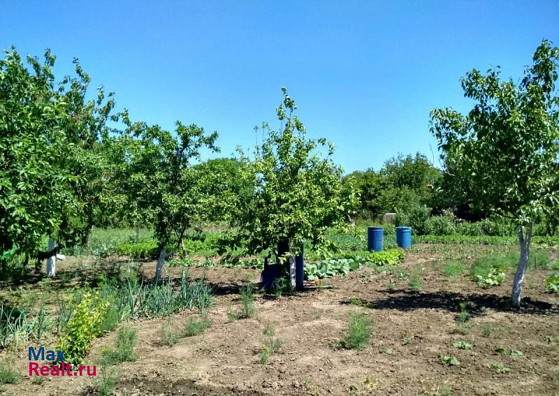 купить частный дом Старощербиновская село Ейское Укрепление