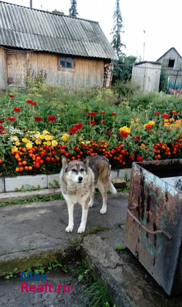 купить частный дом Березовский посёлок Барзас