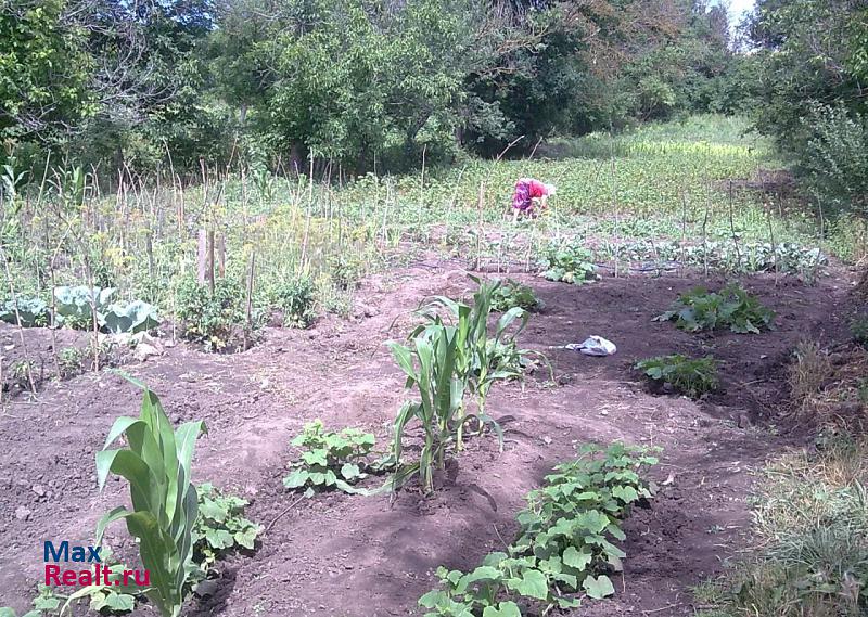 купить частный дом Ставрополь Петровский р-н село Ореховка. ул. Ленина