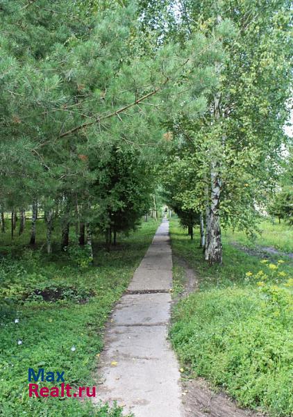 купить частный дом Атяшево село Большие Манадыши