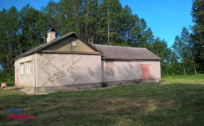 Псков Псковский район, деревня Ореховичи дом