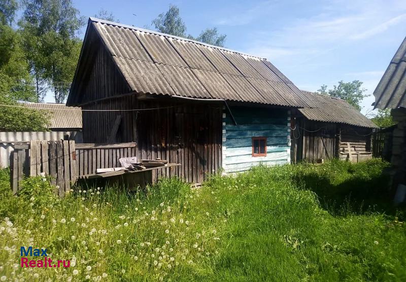 Клетня деревня Новотроицкое дом