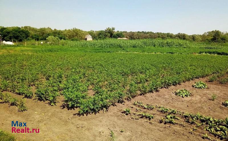 купить частный дом Поворино село Рождественское, Овражная улица