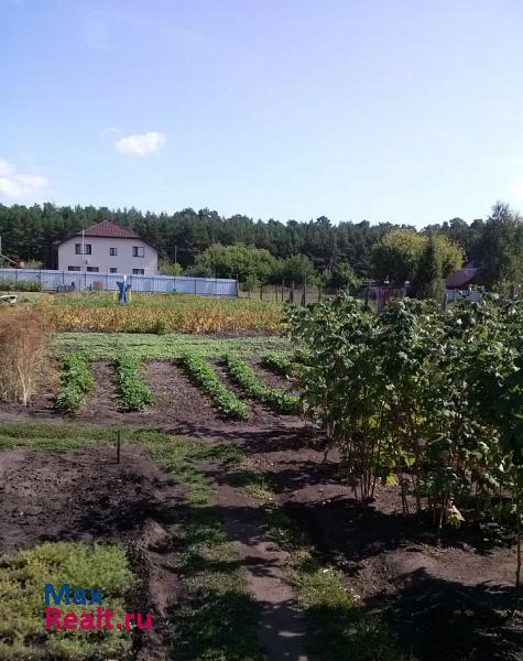 Сенгилей село Старый Белый Яр дом