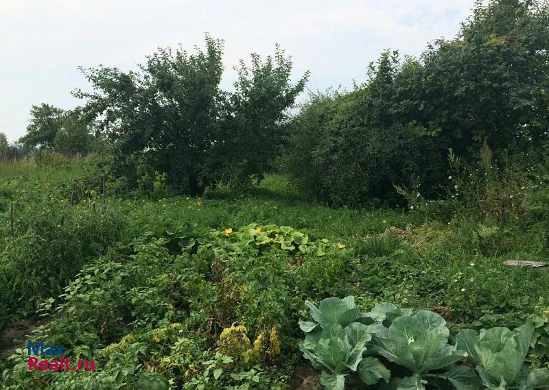 купить частный дом Спасское Спасский район, село Низовка