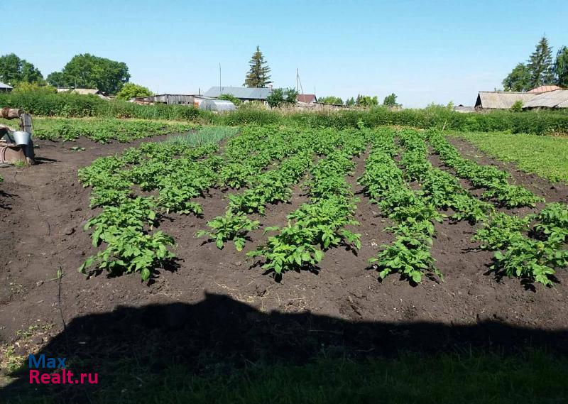 купить частный дом Далматово село Кривское, улица Шишкина