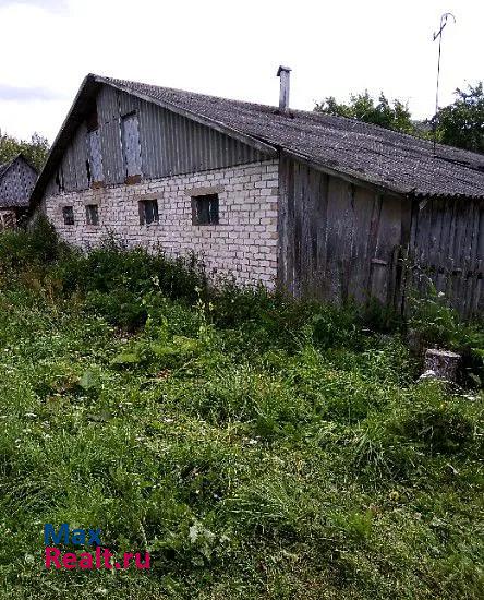 Бежаницы деревня Фишнево продажа частного дома