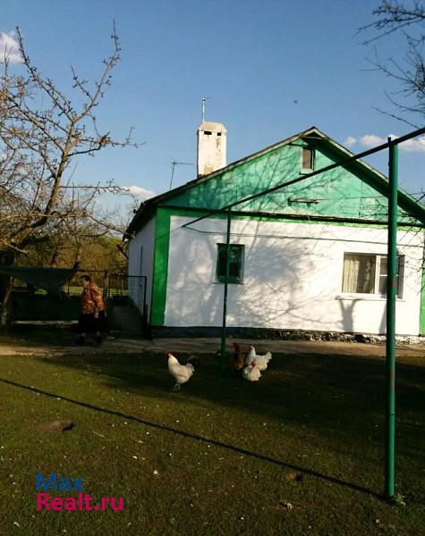купить частный дом Касторное Липецкая область, деревня Семёновка