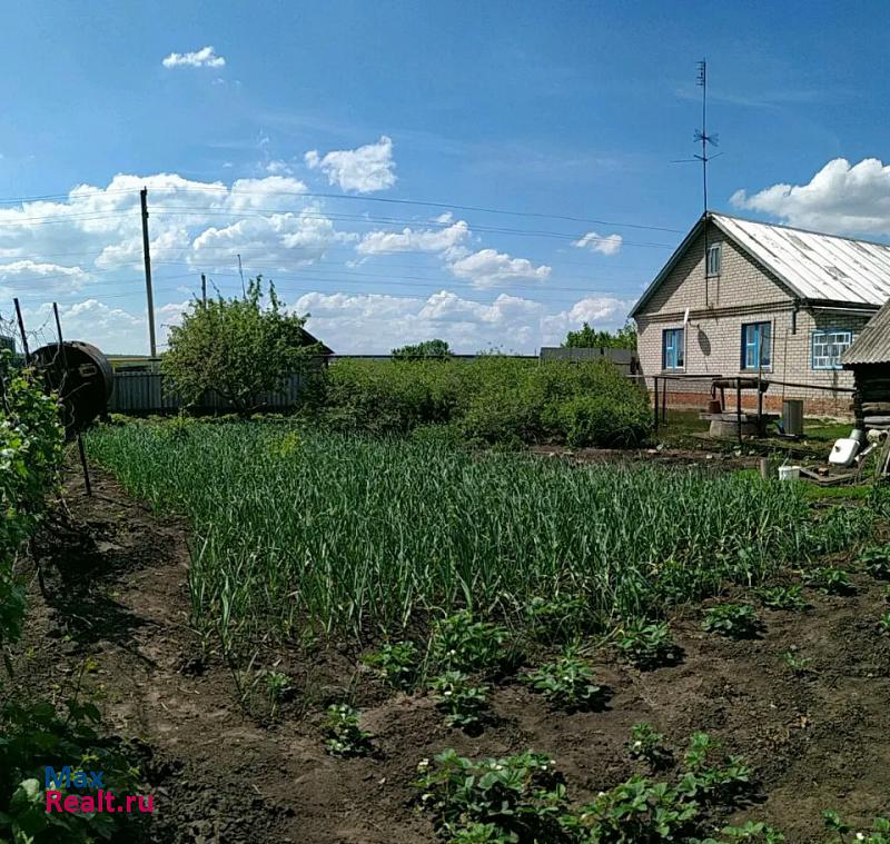 купить частный дом Борское село Коноваловка