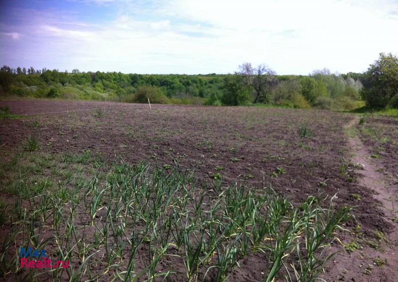 Новый Оскол село Беломестное, Садовая улица дом