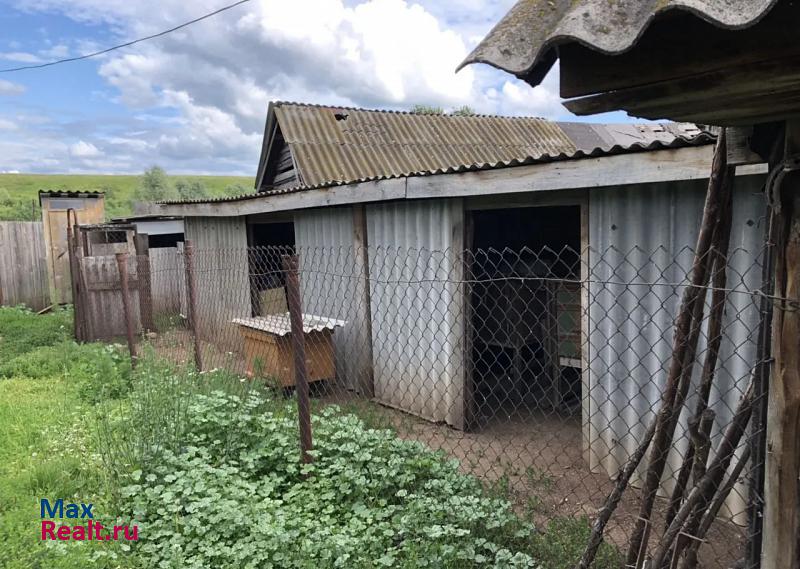 купить частный дом Актаныш село Актаныш, Центральная улица