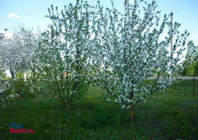 купить частный дом Добринка посёлок Добринка, улица Правды, 2