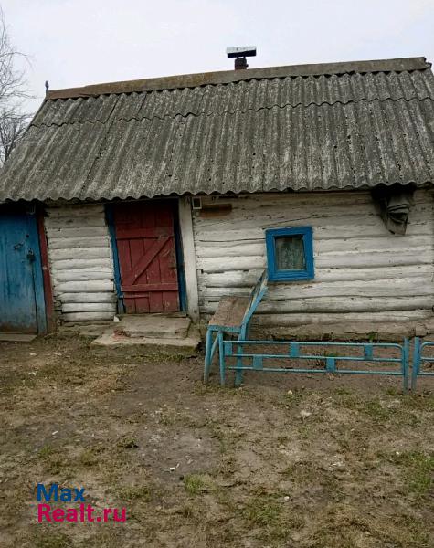 купить частный дом Злынка деревня Большие Щербиничи, Луговая улица, 2