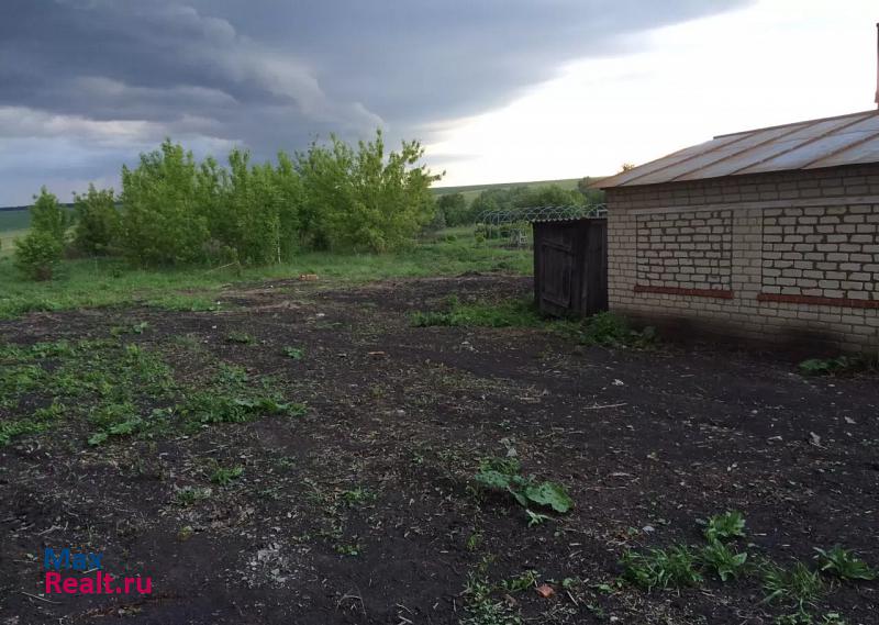 Саранск село Владимировка, Центральная улица, 31 дом